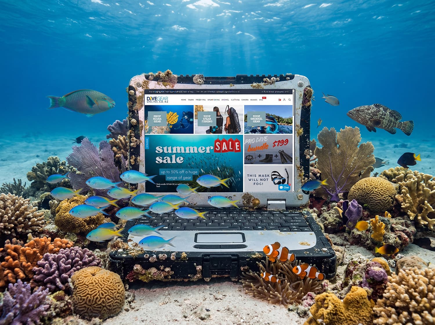Dive Gear Online.